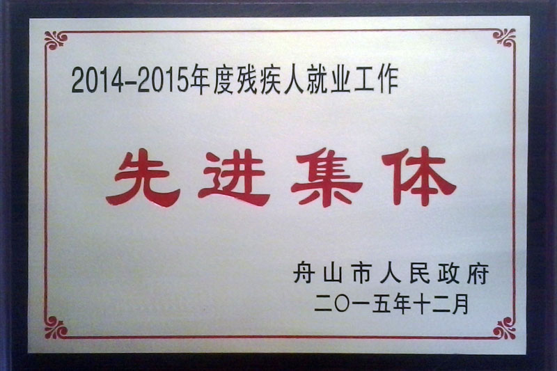 Advanced Group for Promoting Employment of Persons with Disabilities in Zhoushan City(2014-2015)
